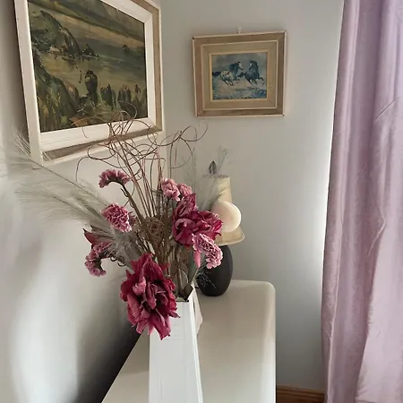 Teach Biddy Rua Townhouse * 던글로